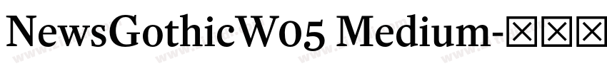 NewsGothicW05 Medium字体转换